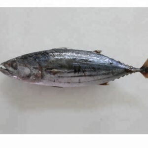 Peixe Jacks Congelado Kg