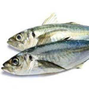 Carapau Vicking (30+) Kg