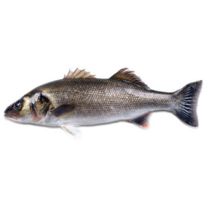 Peixe Robalo Hig. Individual (600/800) Kg