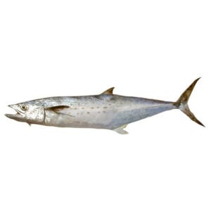 Peixe Serra (Inteiro) Kg