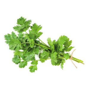 Veg Coentro Nacional (Molho) Un