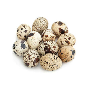 Ovos Frescos de Codorniz 12Un