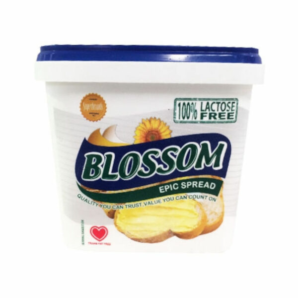 MARGARINA LITE BLOSSOM (TIGELA)
1KG