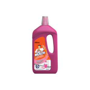 Limpeza Mr Muscle Tile Cleaner Potpourri 750ml