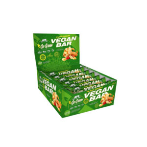 NPL VEGAN BAR PEANUT BUTTER 45GR 1X16