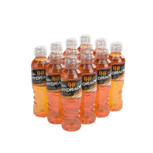 NPL HYDRATE 500ML MANGO MELON