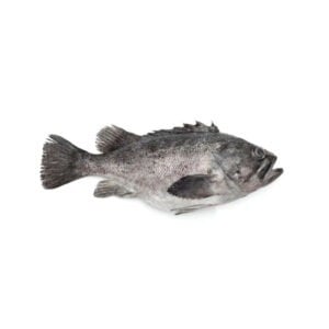 Cabeca de Peixe Garoupa Kg