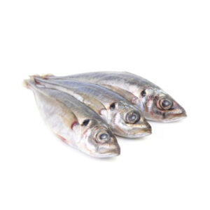 Carapau Vicking (20+) Kg