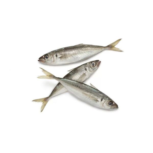 Carapau Vicking (35+) Kg