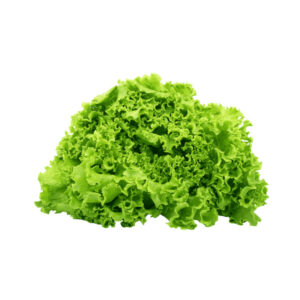 Veg Alface Cuvete Un