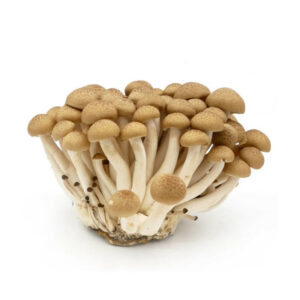 Veg Cogumelos Castanhos Cuvete Un