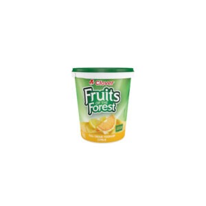 Yogurte Citrus Fruits Forest 1kg